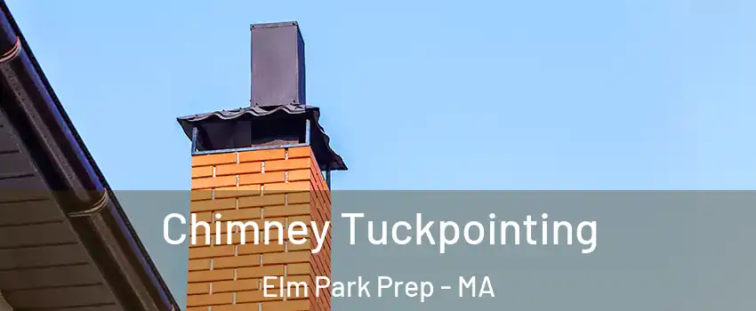 Chimney Tuckpointing Elm Park Prep - MA