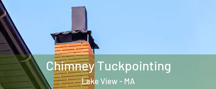 Chimney Tuckpointing Lake View - MA