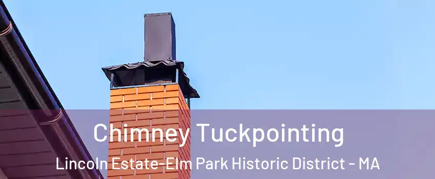 Chimney Tuckpointing Lincoln Estate-Elm Park Historic District - MA