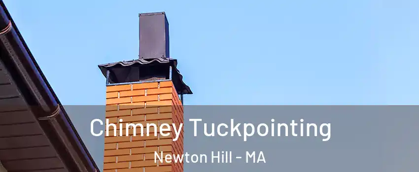 Chimney Tuckpointing Newton Hill - MA