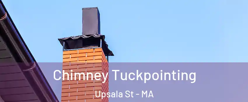 Chimney Tuckpointing Upsala St - MA