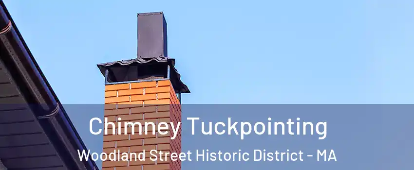 Chimney Tuckpointing Woodland Street Historic District - MA