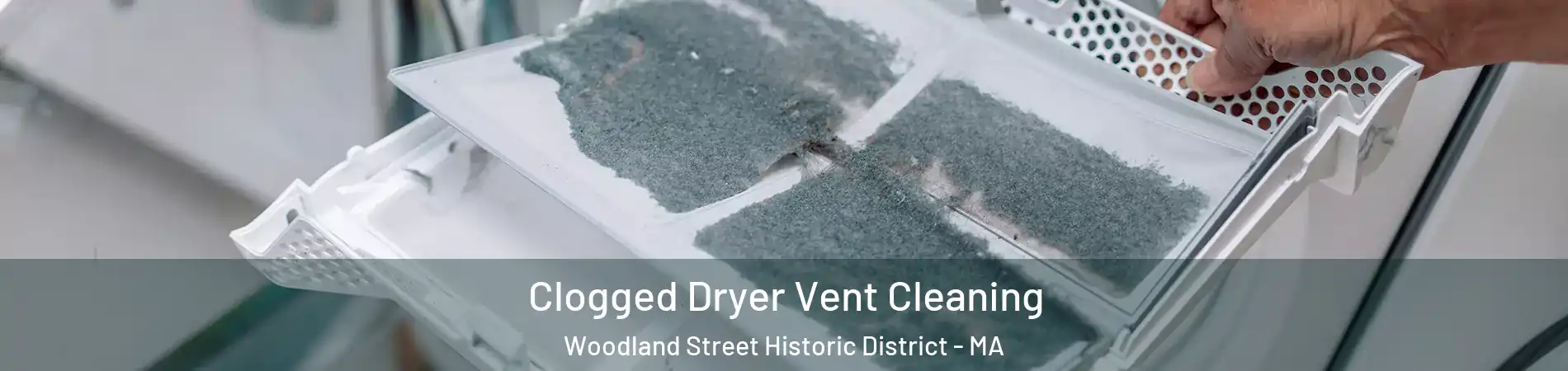 Clogged Dryer Vent Cleaning Woodland Street Historic District - MA