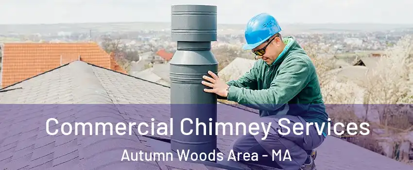 Commercial Chimney Services Autumn Woods Area - MA