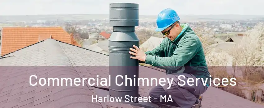 Commercial Chimney Services Harlow Street - MA