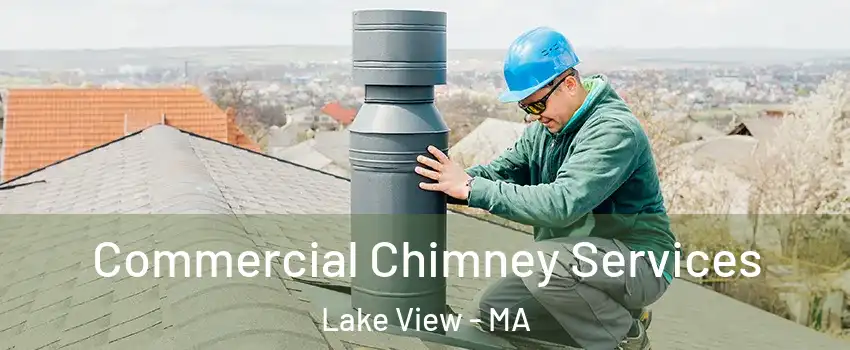 Commercial Chimney Services Lake View - MA