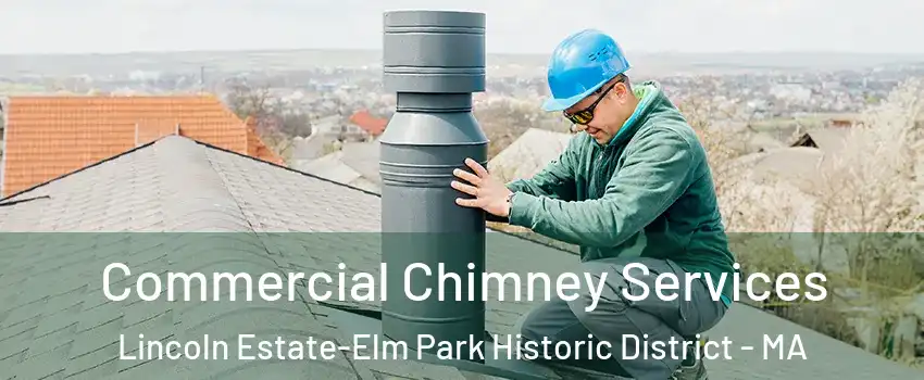 Commercial Chimney Services Lincoln Estate-Elm Park Historic District - MA