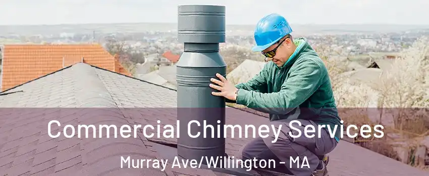 Commercial Chimney Services Murray Ave/Willington - MA