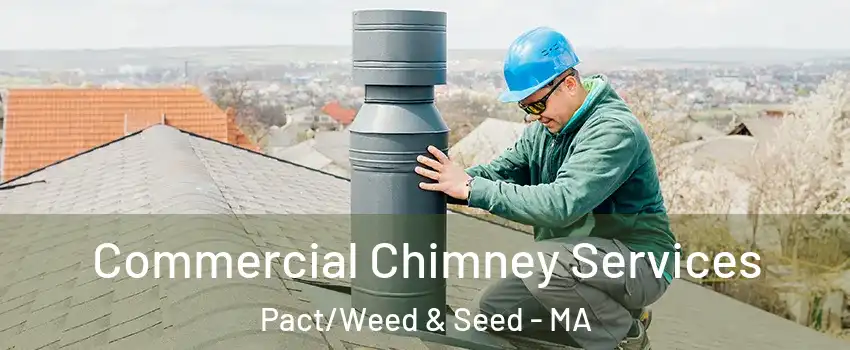 Commercial Chimney Services Pact/Weed & Seed - MA