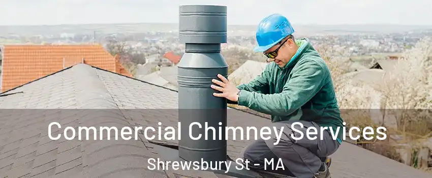 Commercial Chimney Services Shrewsbury St - MA