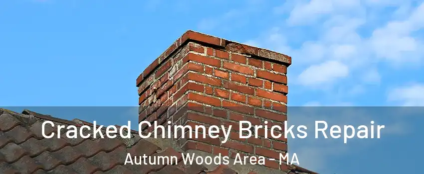 Cracked Chimney Bricks Repair Autumn Woods Area - MA