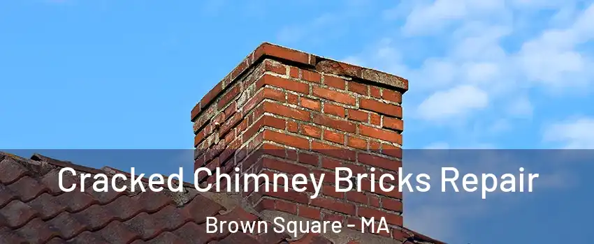 Cracked Chimney Bricks Repair Brown Square - MA