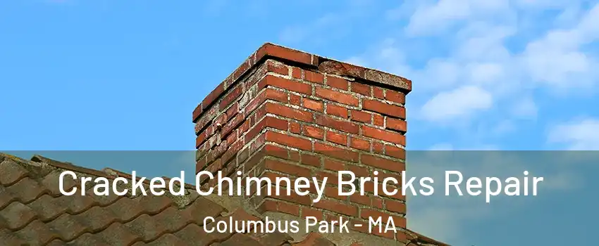 Cracked Chimney Bricks Repair Columbus Park - MA