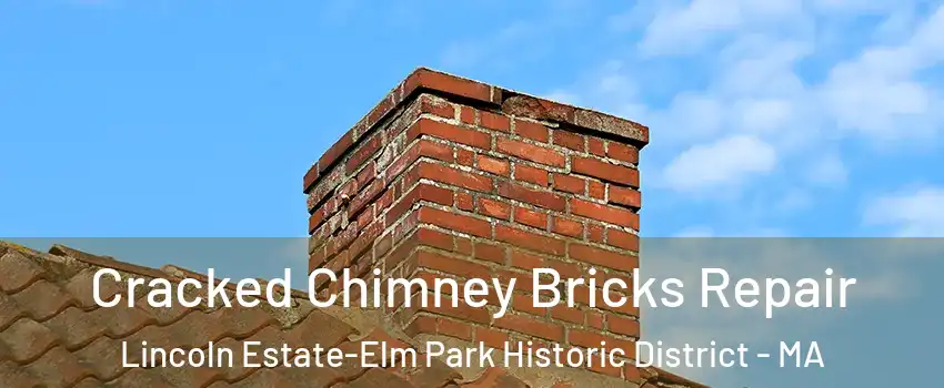 Cracked Chimney Bricks Repair Lincoln Estate-Elm Park Historic District - MA