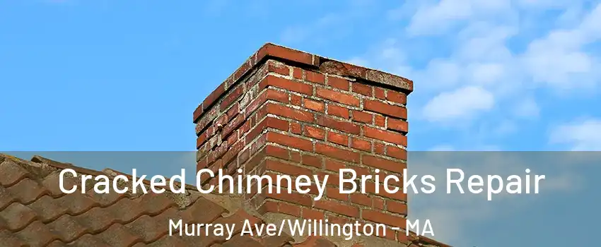 Cracked Chimney Bricks Repair Murray Ave/Willington - MA