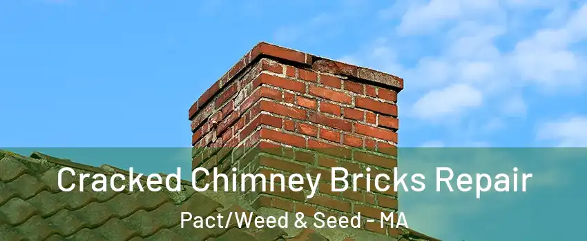 Cracked Chimney Bricks Repair Pact/Weed & Seed - MA