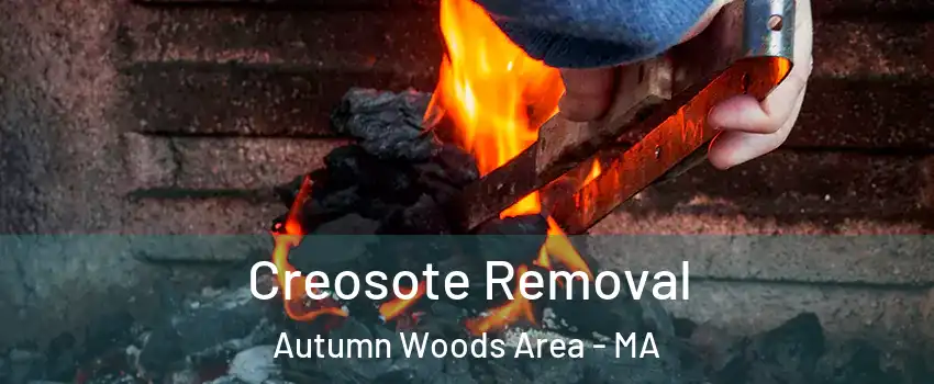 Creosote Removal Autumn Woods Area - MA