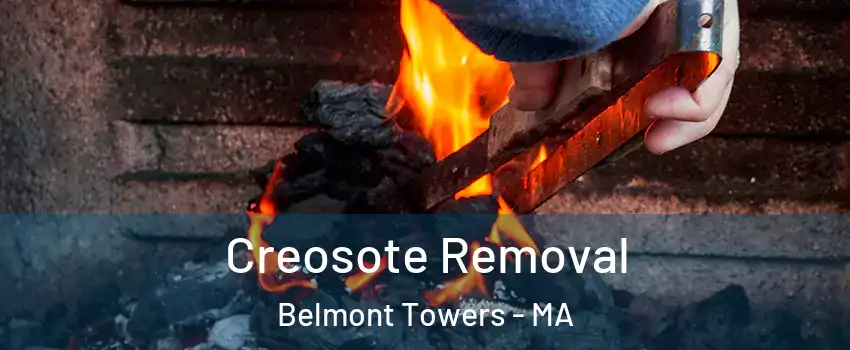 Creosote Removal Belmont Towers - MA