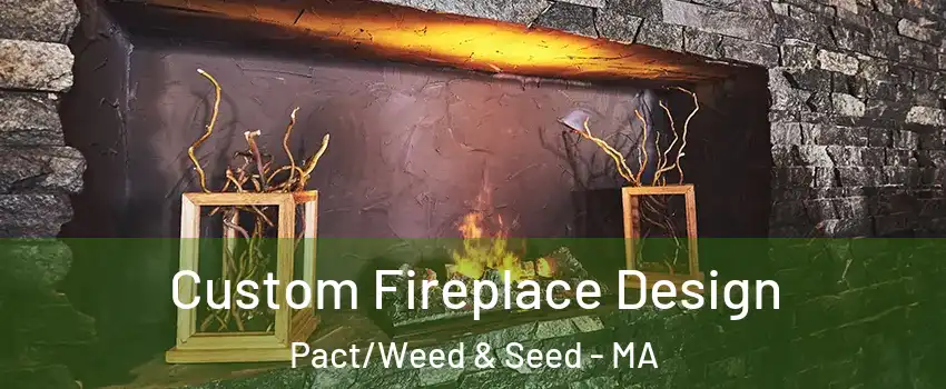 Custom Fireplace Design Pact/Weed & Seed - MA