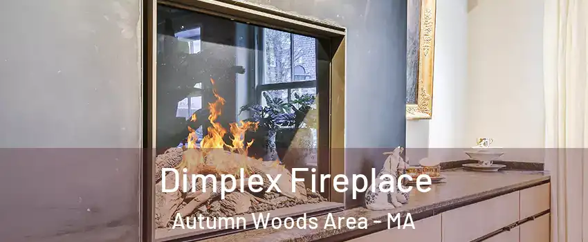 Dimplex Fireplace Autumn Woods Area - MA