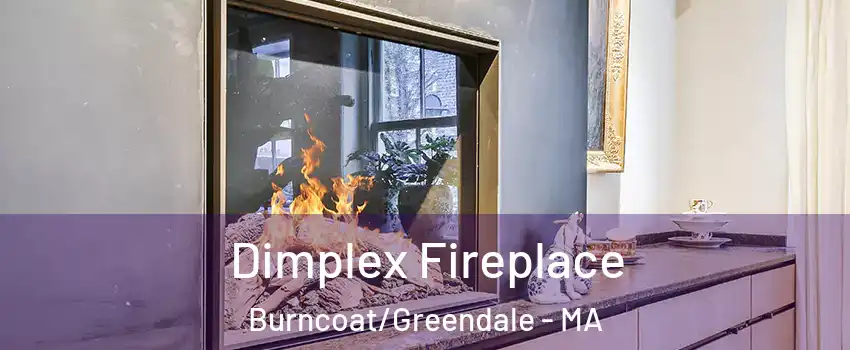 Dimplex Fireplace Burncoat/Greendale - MA