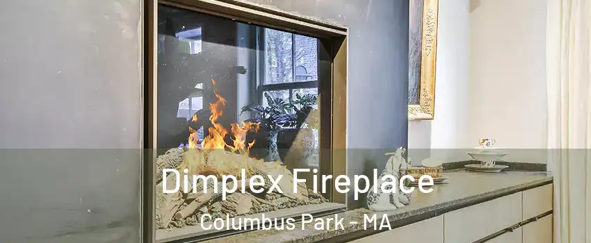 Dimplex Fireplace Columbus Park - MA