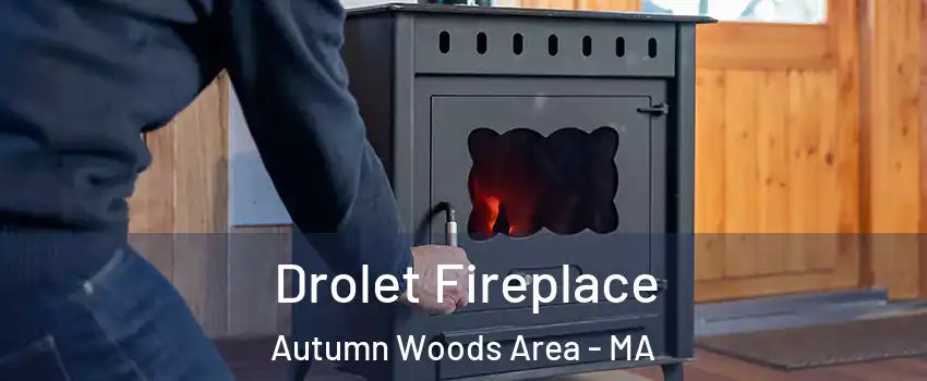 Drolet Fireplace Autumn Woods Area - MA