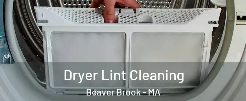 Dryer Lint Cleaning Beaver Brook - MA