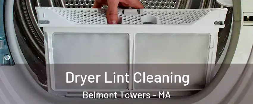 Dryer Lint Cleaning Belmont Towers - MA