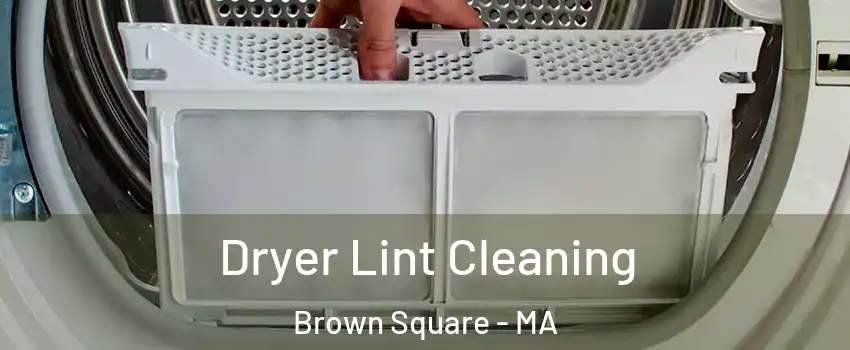 Dryer Lint Cleaning Brown Square - MA