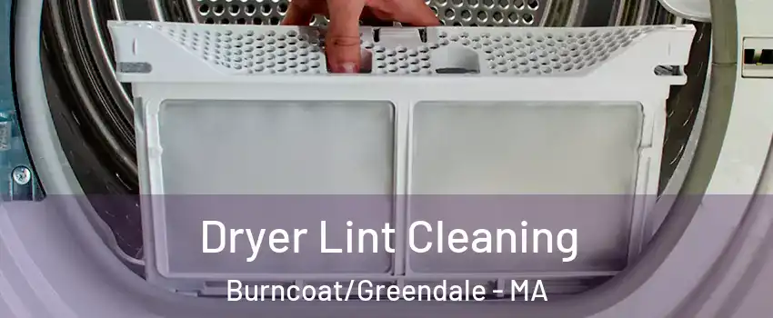 Dryer Lint Cleaning Burncoat/Greendale - MA