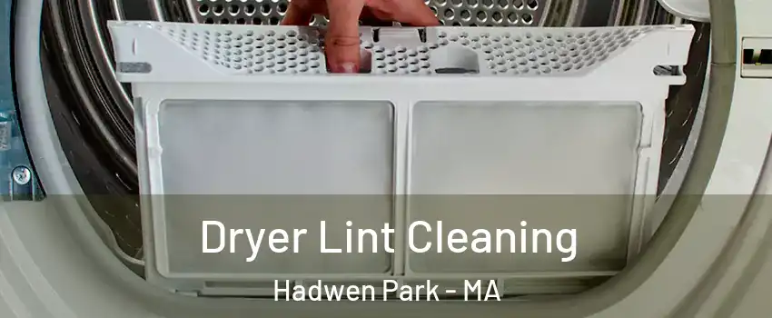 Dryer Lint Cleaning Hadwen Park - MA