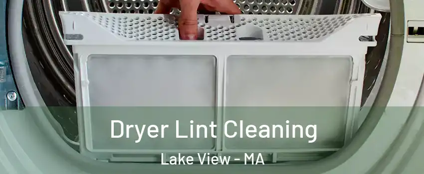 Dryer Lint Cleaning Lake View - MA