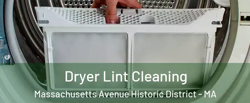 Dryer Lint Cleaning Massachusetts Avenue Historic District - MA