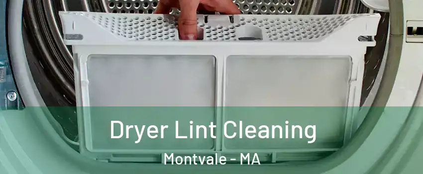 Dryer Lint Cleaning Montvale - MA