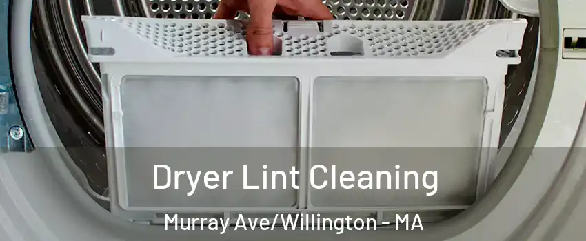 Dryer Lint Cleaning Murray Ave/Willington - MA