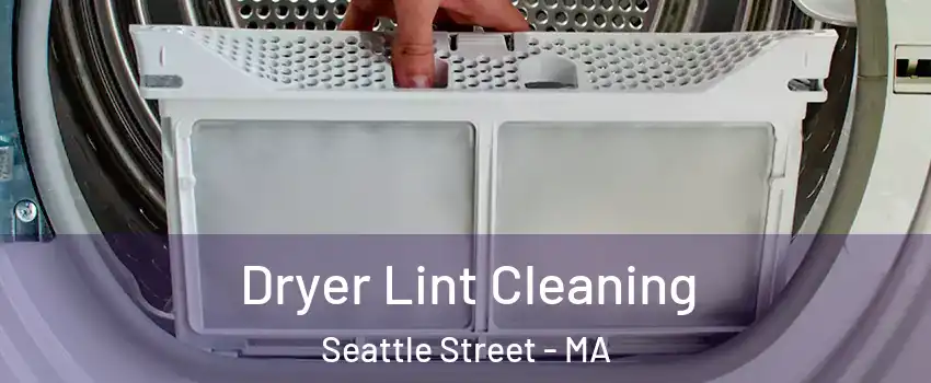 Dryer Lint Cleaning Seattle Street - MA