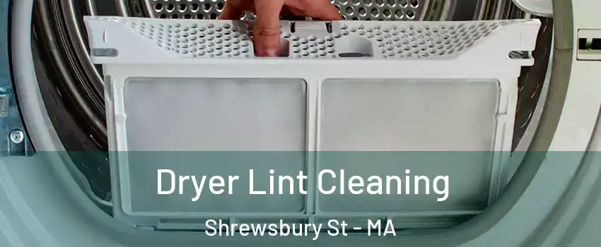 Dryer Lint Cleaning Shrewsbury St - MA