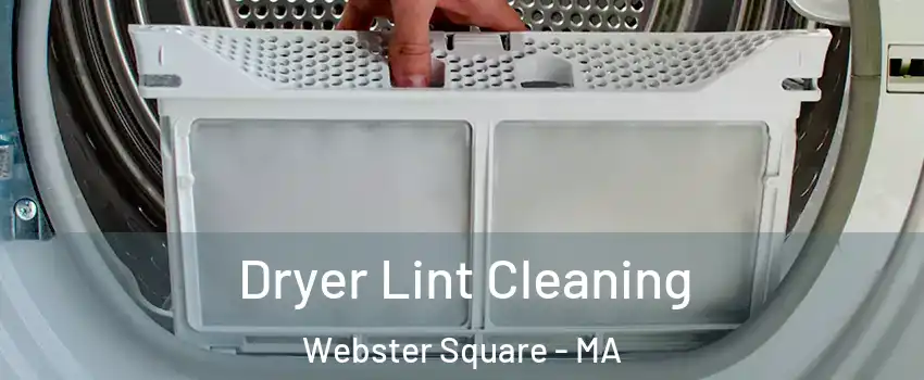 Dryer Lint Cleaning Webster Square - MA