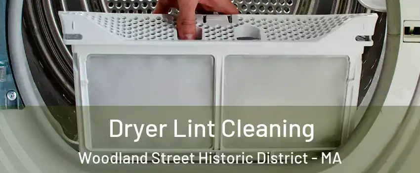 Dryer Lint Cleaning Woodland Street Historic District - MA