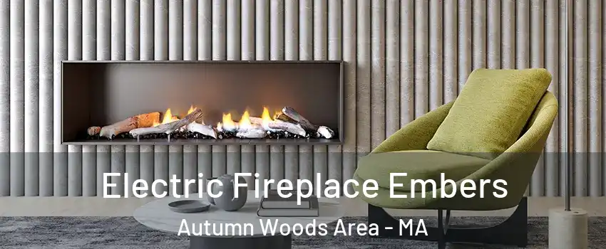 Electric Fireplace Embers Autumn Woods Area - MA