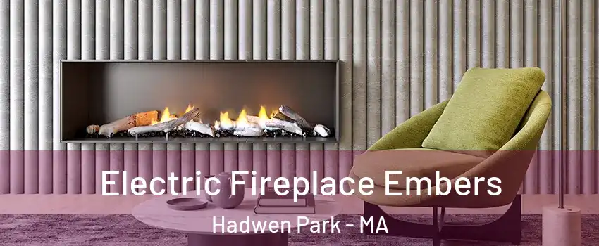 Electric Fireplace Embers Hadwen Park - MA