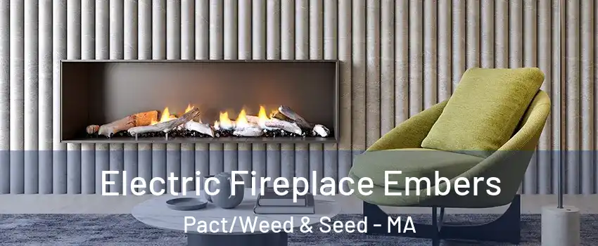 Electric Fireplace Embers Pact/Weed & Seed - MA