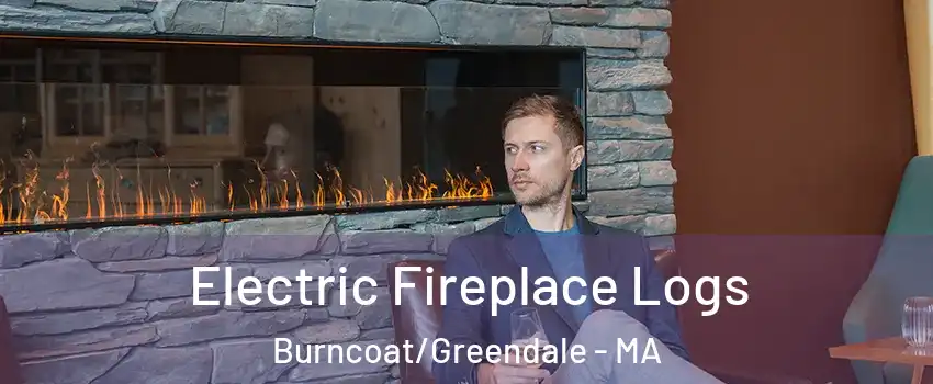 Electric Fireplace Logs Burncoat/Greendale - MA