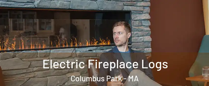 Electric Fireplace Logs Columbus Park - MA