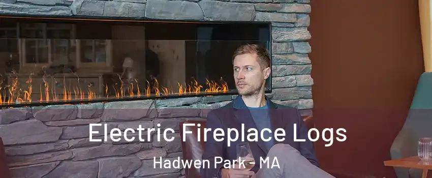 Electric Fireplace Logs Hadwen Park - MA