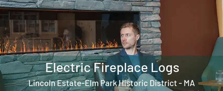 Electric Fireplace Logs Lincoln Estate-Elm Park Historic District - MA