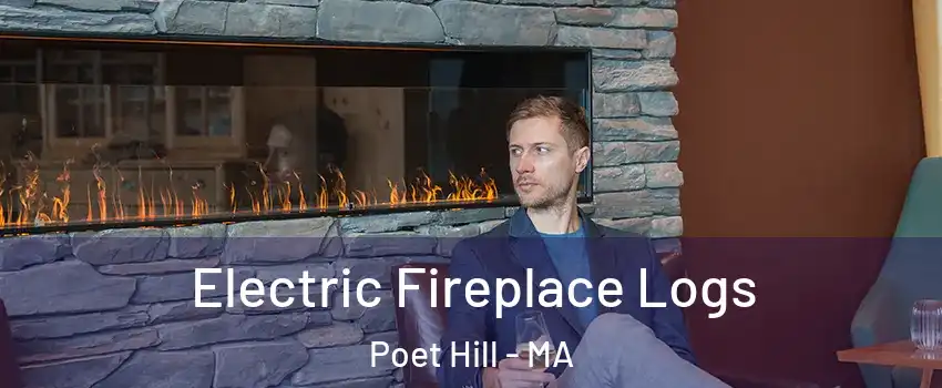 Electric Fireplace Logs Poet Hill - MA