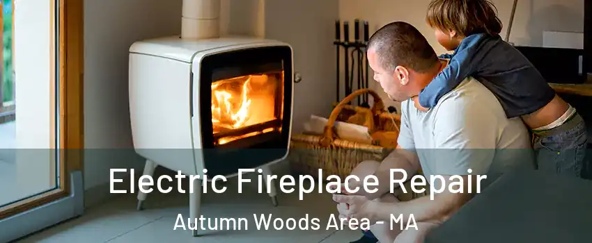 Electric Fireplace Repair Autumn Woods Area - MA