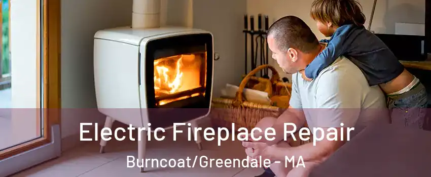 Electric Fireplace Repair Burncoat/Greendale - MA